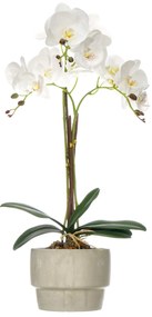 Sztuczny storczyk w doniczce z cementu ORCHI, 56 cm
