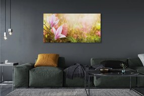 Duży obraz na płótnie Drzewa Magnolii w Słońcu