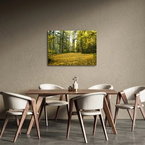 Obraz - las jesienią (70x50 cm)