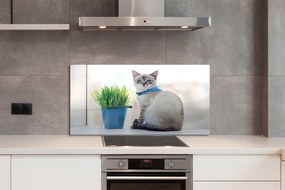 Panel szklany do Kuchni Dostojny Siedzący Kot