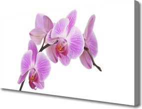 Obraz na płótnie Wyrafinowany Bukiet Kwiatowy