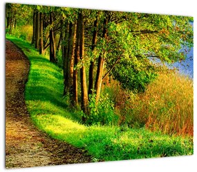 Obraz na szkle szlaku wzdłuż wody (70x50 cm)