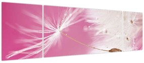 Obraz - Makro kwiat (170x50 cm)