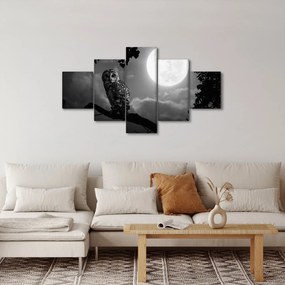 Obraz - Nocna sowa, czarno-biały (125x70 cm)