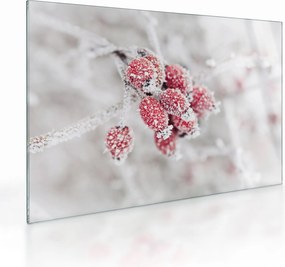 Obraz na szkle - Mrożone owoce (70x50 cm)