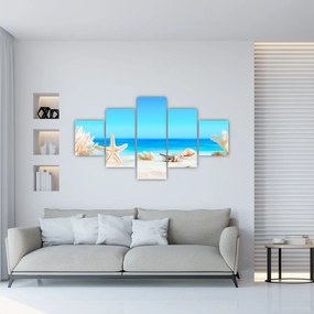 Obraz - Martwa natura z muszelkami (125x70 cm)