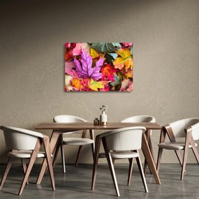 Obraz na szkle - jesienne liście (70x50 cm)