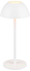 Lampa zewnętrzna ze ściemniaczem ø 13,5 cm Ricardo – Trio