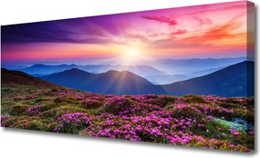 Obraz canvas Słoneczna Hala u Stóp Gór