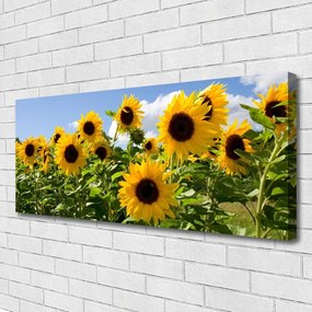Zdjęcie na płótnie Złoty Słonecznik w Słońcu