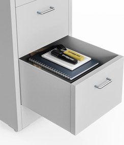 Szafka kartotekowa na kółkach, metalowa, 8 szuflad, na dokumenty, szara, 300x1100x600 mm: SARA V8