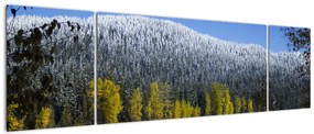 Obraz - ośnieżone góry zimą (170x50 cm)