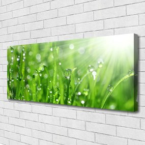 Obraz canvas Krople Rosy na Trawie