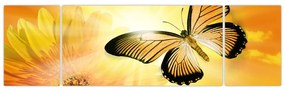 Obraz - Żółty motyl z kwiatkiem (170x50 cm)