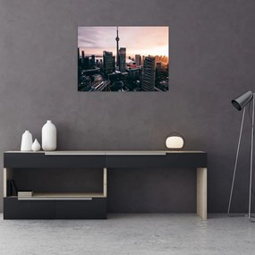 Obraz - Widok na centrum miasta (70x50 cm)