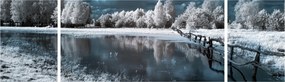 Obraz - Zamarznięty krajobraz (170x50 cm)