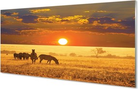 Panel szklany do Kuchni Zebry o Zachodzie Słońca