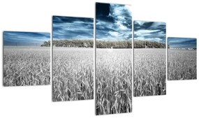 Obraz pola (125x70 cm)