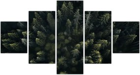 Obraz - Las (125x70 cm)