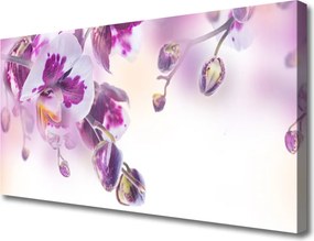 Obraz drukowany na płótnie Świeżość Letniego Ogrodu