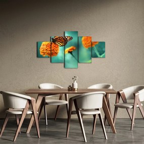 Obraz motyla (125x70 cm)