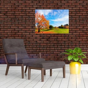 Obraz - Jesienny krajobraz (70x50 cm)