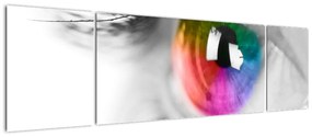 Obraz - Irys (170x50 cm)