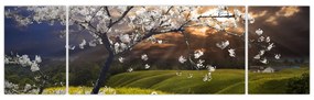 Obraz - Kwitnące drzewo w krajobrazie (170x50 cm)