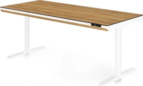 Biurko elektryczne z regulacją wysokości Ellis 160x70 cm, dąb złoty/biały
