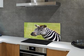 Szklany Panel Zebra