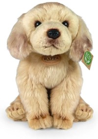 Rappa Pluszowy labrador siedzący, 27 cm ECO-FRIENDLY