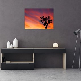 Obraz na szkle zachodu słońca nad sylwetką drzewa (70x50 cm)