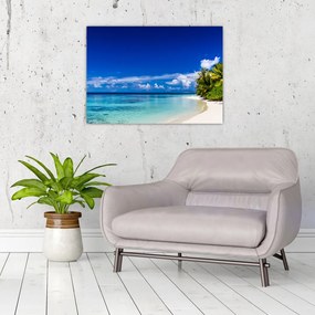 Obraz tropikalnej plaży (70x50 cm)