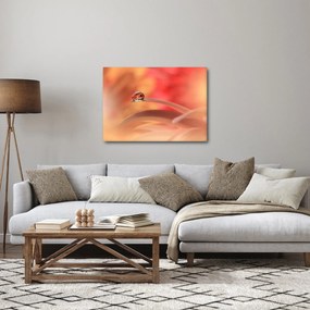 Obraz kwiecistej kropli rosy (70x50 cm)