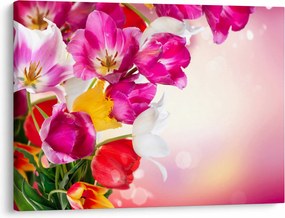Obraz tulipanów (70x50 cm)