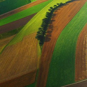 Obraz - Pola, łąki (z zegarem) (90x30 cm)