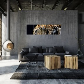 Obraz - Gepard (170x50 cm)