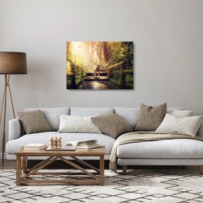 Obraz na szkle - tygrys (70x50 cm)