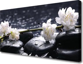 Obraz na płótnie Równowaga: Kwiat i Kamienie