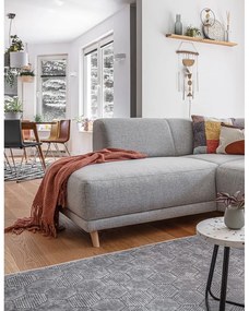 Jasnoszary rozkładany/ze schowkiem narożnik (lewostronny/w kształcie litery L) Classy Sophie – Miuform