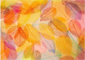 Obraz na szkle - Tło z jesiennych liści (70x50 cm)
