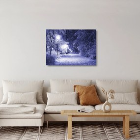 Obraz na szkle - Magiczna zimowa noc (70x50 cm)