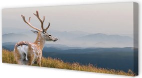 Duży obraz na płótnie Jeleń na Tle Gór