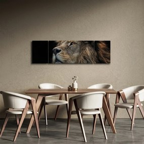 Obraz - Majestatyczny lew (170x50 cm)