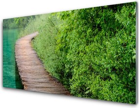 Panel Szklany Drewniany Mostek W Lesie