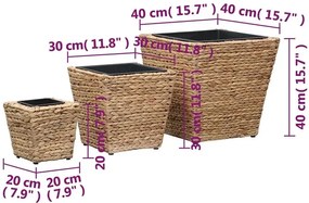 Komplet 3 donic z hiacyntu wodnego - Heron