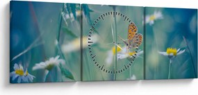 Obraz - Motyl na stokrotce (z zegarem) (90x30 cm)