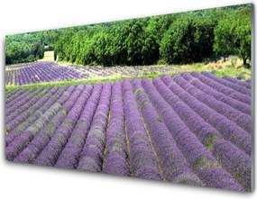 Szkło nad Blatem Kolorowa Łąka na Płótnie