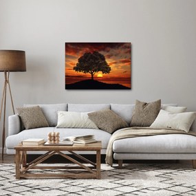 Obraz drzewa o zachodzie słońca (70x50 cm)