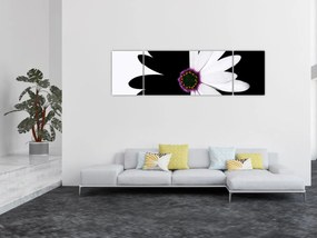 Obraz czarno - białego kwiatu (170x50 cm)